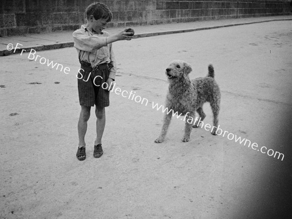 BOY PLAYING WITH DOG